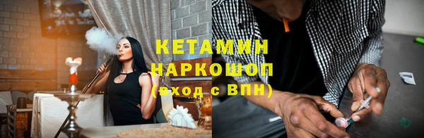 сатива Горняк