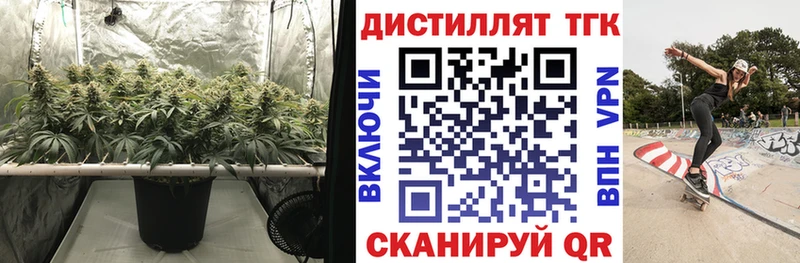 ТГК жижа  Тбилисская 