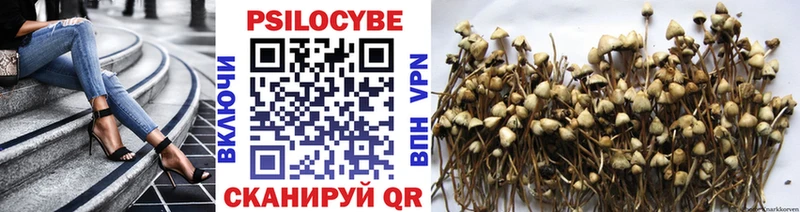 Галлюциногенные грибы Psilocybine cubensis МЕГА зеркало Тбилисская