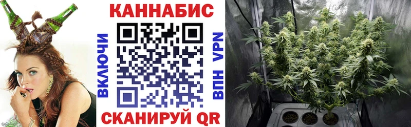 хочу наркоту  Тбилисская  Бошки Шишки сатива 